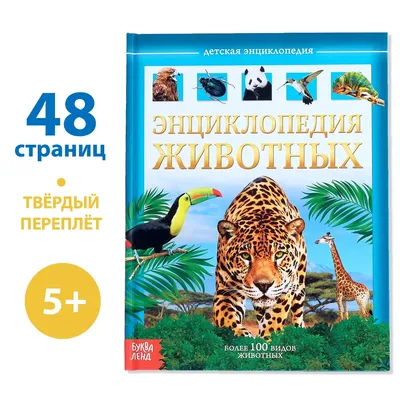 День тигра во Владивостоке» 2023, Ярославль — дата и место проведения,  программа мероприятия.