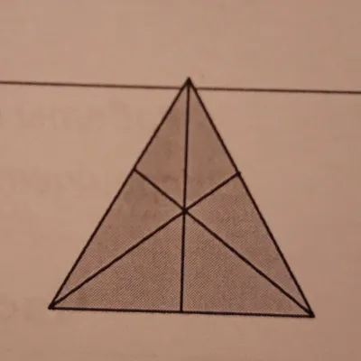 Головоломка, которую правильно решают только единицы: сколько треугольников  на рисунке — Разное