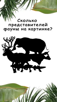 Загадка, с которой справятся единицы: за 30 секунд надо найти двух животных  на рисунке - Новости Беларуси - Хартия'97