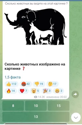 Головоломка-иллюзия: Сколько животных на изображении? — Flytothesky.ru
