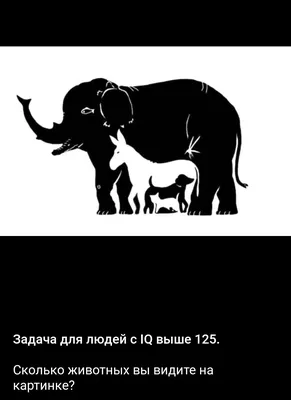 Сколько животных Вы видите на картинке? Визуальная иллюзия | Журнал Хром |  Дзен