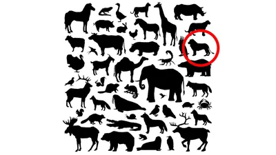 Тест на внимательность: сколько животных вы видите на этой картинке?