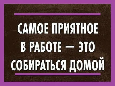 Внуково. Скоро домой. — Фото №224565