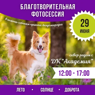 Скоро сессия картинки фотографии