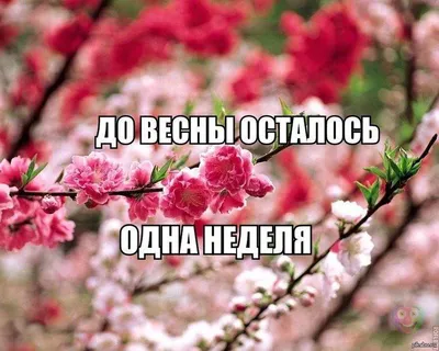 Скоро весна 💗 #весна #скоровесна #первоцветы | Instagram