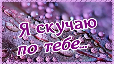 Купить оптом Скучаю... с доставкой в Россию Беларусь | Стильная открытка