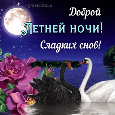 Сладких снов. Прощайте, ночные кошмары Сказкотерапия Russian Kids Book |  eBay
