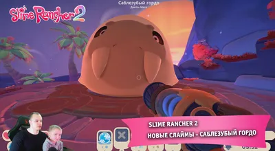 Все слаймы в Slime Rancher 2 и их особенности