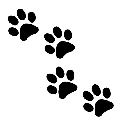 Силуэт кошки, лапка след животного Stock-Vektorgrafik | Adobe Stock