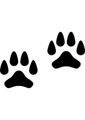 иллюстрация лапы собаки, след собаки следа собаки следа собаки, собака  кости, животные, домашнее животное, монохромный png | PNGWing
