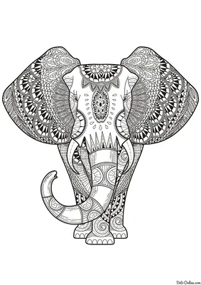 Раскраска Слон | Раскраски диких животных для малышей. Простые раскраски с  дикими зверями