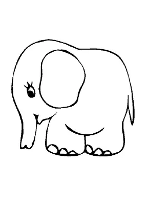 Раскраска Индийский слон распечатать или скачать