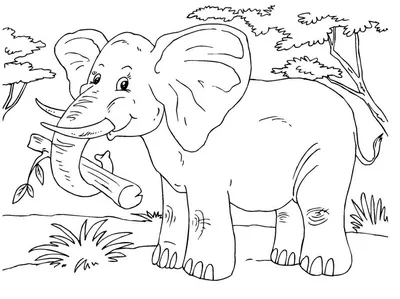 Раскраска Слон (Elephant) для детей 3, 4, 5, 6, 7, 8 лет: 26 разукрашек  распечатать