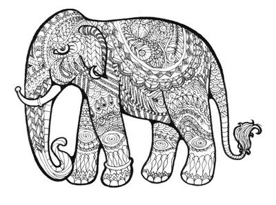 Раскраски Раскраска Слон раскраски для взрослых слон, скачать распечатать  раскраски.