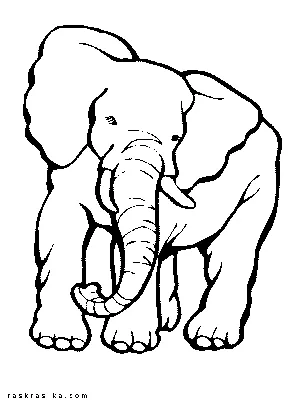 Милый вектор иллюстрации страницы раскраски мультфильма слона для детей  книжка-раскраска | Премиум векторы