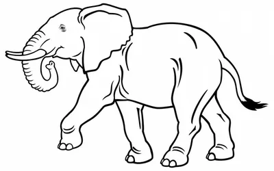 Слон. Рисунок гуашью | Пикабу