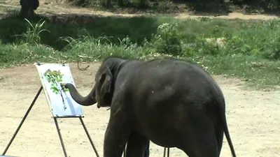 Слон художник рисует кистью» — создано в Шедевруме