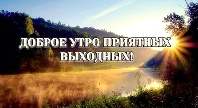 Коротко обо мне: Я: Завтра выходной, наконец-то приведу квартиру в порядок,  перестираю вещи, наготовлю еды на неделю, вечером встречусь с… | Выходной,  Надписи, Юмор