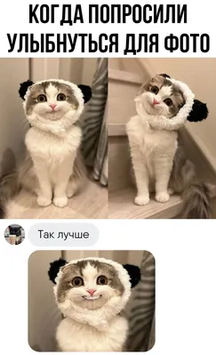 прикольные картинки и фото с животными 2024 | ВКонтакте