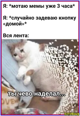 Успокаивает. Это не моя кровь. Майка, жилет без рукавов, смешные надписи  Humor Wit, шприц для травм от раны крови | AliExpress