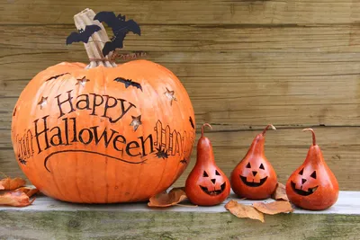 Хеллоуин (Halloween -приколы на хеллоуин - прикольные костюмы, тыквы, шутки  и юмор про хелоуин) :: декорации :: праздник / смешные картинки и другие  приколы: комиксы, гиф анимация, видео, лучший интеллектуальный юмор.