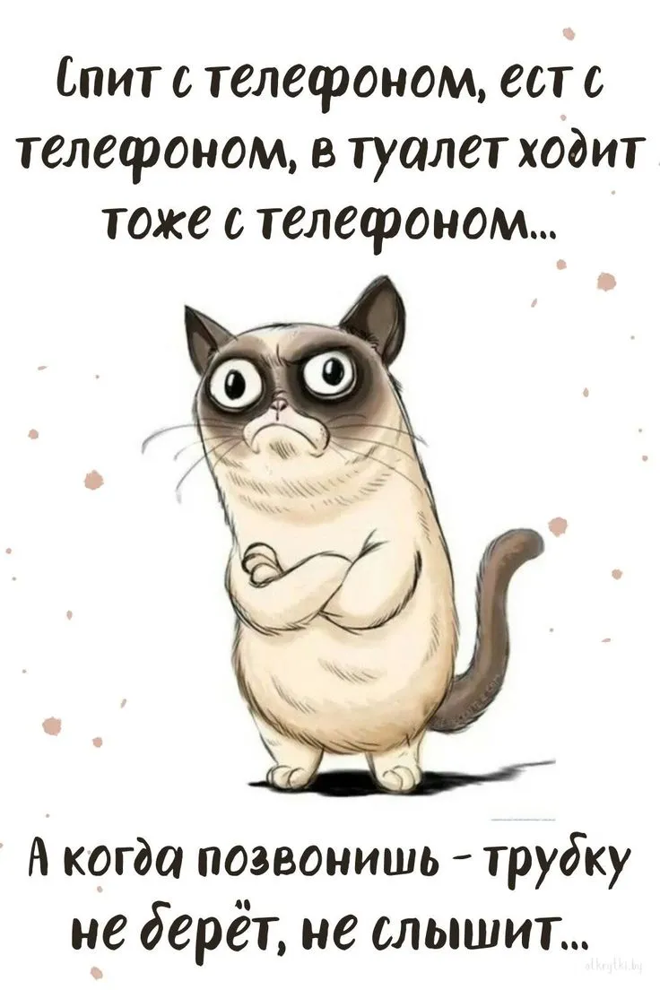 Коллекция забавных ВЕСЁЛЫХ картинок на разные темы | Смешные надписи,  Серьезные цитаты, Веселые картинки