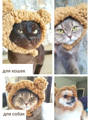 Soft Puf Шапка для кошек и собак одежда уши медведя смешные