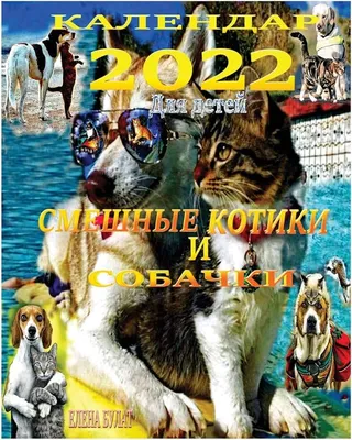 Сборник смешных кошек и собак 2023 | Лучшее животное проваливается # 57 —  Eightify