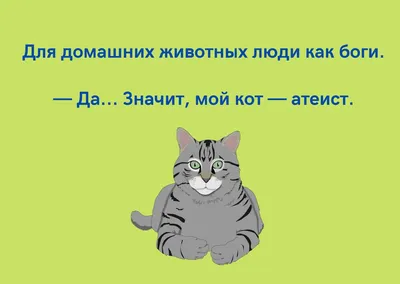 Выбрано самое смешное фото животных в 2022 году: Звери: Из жизни: Lenta.ru