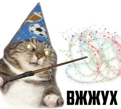 Смешные коты с надписями - Лучшие фотографии котов с остроумными  комментариями - pictx.ru