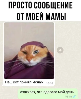 Хапи хапи хапи: что за мем с плачущим котом-бананом