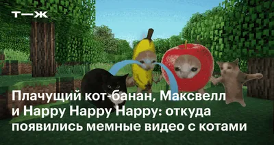 Не работает «ВКонтакте»: смешные мемы про неполадки и массовый сбой  популярной социальной сети - 8 февраля 2023 - МСК1.ру