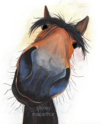 Лошадь нарисованная смешная - 49 фото