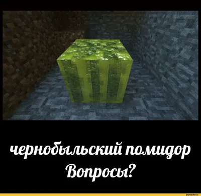 Minecraft :: Приколы для даунов :: Игры :: разное / картинки, гифки,  прикольные комиксы, интересные статьи по теме.