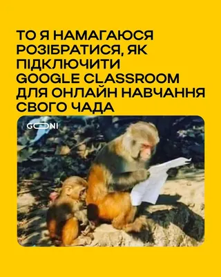 Анекдоты про школу: 50+ самых смешных шуток про учебу, учителей и  одноклассников