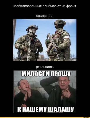 Военная Форма Россия / смешные картинки и другие приколы: комиксы, гиф  анимация, видео, лучший интеллектуальный юмор.