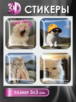 Фотография Кошки в наушниках Смартфон забавные Рыжий очков Животные