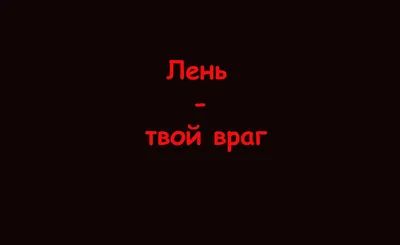 прикольные обои #прикольные #обои #для #экран #блокировки #прикольныео... |  TikTok