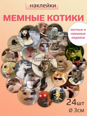 205496 Наклейки на телефон А6 Стикеры для телефона Смешные котики - купить  с доставкой по низким ценам | Интернет-магазин Fkniga.ru