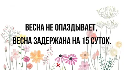 Умер актер из фильма \"Весна на Заречной улице\" Жан Мельников - РИА Новости,  03.05.2021