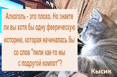 Юмор о вязании. Цитаты, анекдоты и крылатые фразы о вязании. - Подборка  позитива - YouTube