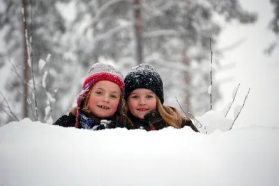 золотистый ретривер лежит на снегу, смешные картинки в снегу, снег, зима  фон картинки и Фото для бесплатной загрузки