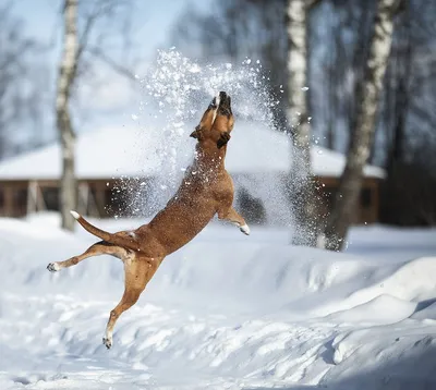 ❄️Короткие и красивые, смешные и лёгкие стихи про зиму для детей можно  учить с еще совсем маленькими детишками! ⠀ 🍎Сохраните пост в… | Instagram