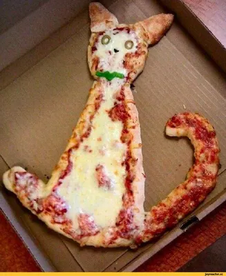 мультяшная пицца ест мультяшную пиццу мультяшная, смешные картинки я люблю  тебя фон картинки и Фото для бесплатной загрузки