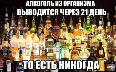 Прикольные картинки про алкоголь (40 штук)