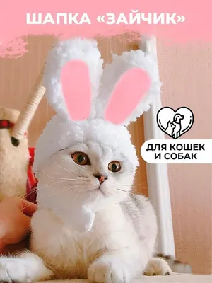 PETSROOM Шапка для кошек и собак шапочка для кота уши зайца смешные