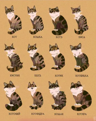 Анекдоты про котов: 50+ шуток, которые поднимут вам настроение