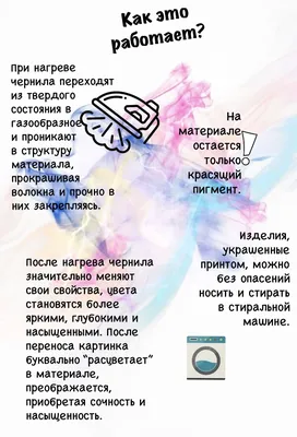 Прикольные надписи на адреснике для питомца — Andrei Kasperovich на  TenChat.ru