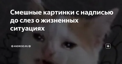 Картинки для настроения - прикольные с надписями