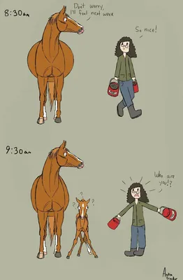 Смешные картинки, шутки, и прочее о лошадях и не только | Страница 3 |  KoniClub.pro